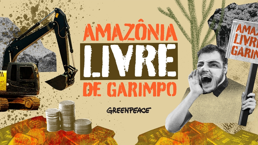 Greenpeace Brasil: Amazônia Livre de Garimpo