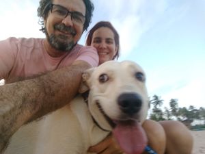 Corrente para Zeca - Ajuda no tratamento de Zeca