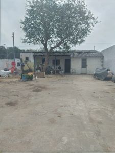 Causas e Comunidade - Reforma da casa da minha mãe