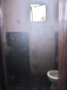 Rosângela Tavares - Reforma da casa da minha mãe