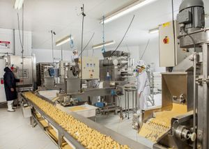 Crowdfunding - Ajuda para montagem da minha fabrica de alimentos congelados