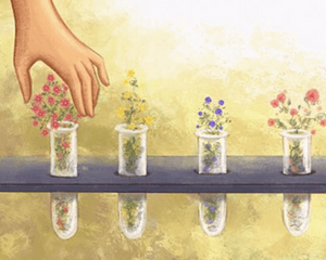 Pré-venda do  Livro Infantil sobre Maternidade Independente