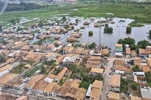 os caes tambem tem vida - salve os animais da enchente 