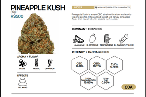 Vaquinha Online - Tratamento Jay Moon 