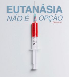 Animais - TODOS POR URSO!!!