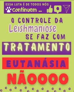 Crowdfunding - TODOS POR URSO!!!