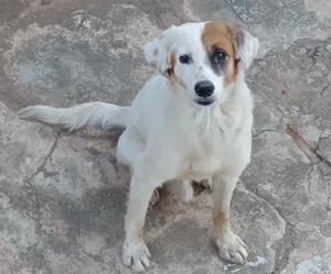 TODOS POR URSO. - TODOS POR URSO!!!