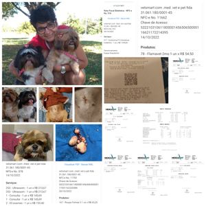 AJUDE CACAU e NINA imagem 9