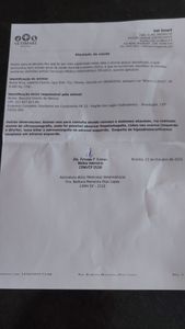 AJUDE CACAU e NINA imagem 8