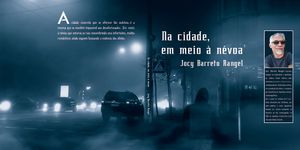 Livro - Livro: Na cidade, em meio à névoa