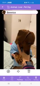 AnimaL Love - ANIMAL LOVE - A REDE SOCIAL DOS PETS