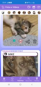 Animais - ANIMAL LOVE - A REDE SOCIAL DOS PETS