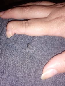 Vaquinha Online - Cirurgia da Ju.