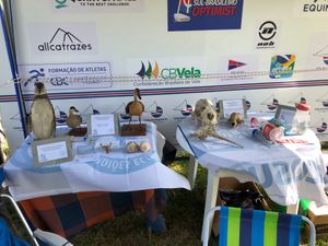 OCEANO NA ESCOLA: Educação Para a Cidadania Oceânica - Programa Oceano na Escola: Educação Para a Cidadania Oceânica