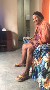 Viagem - De volta para minha terra 