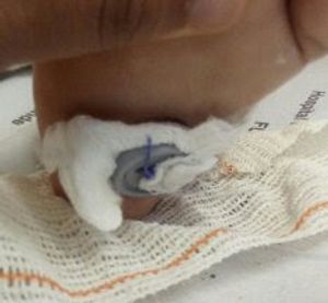 Vaquinha Online - Todos pela arí