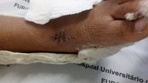 Todos pela ariella  - Todos pela arí