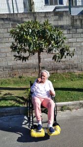 Saúde e Emergências - Cadeira adaptação veicular pra carro 