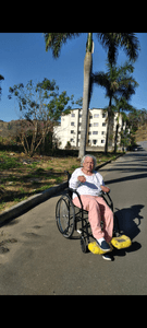 Cadeira de adaptação veicular   - Cadeira adaptação veicular pra carro 