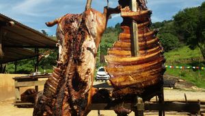 Reabertura do Sanjão, com suas galinhas felizes imagem 8