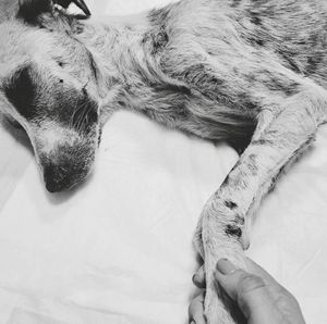 Financiamento Coletivo -  Precisamos de VOCÊ, pois a dor não pede licença.