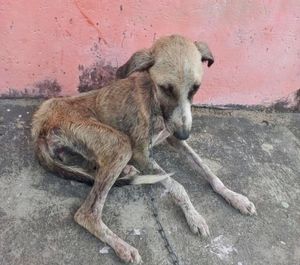  Precisamos de VOCÊ, pois a dor não pede licença. imagem 7