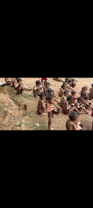 Pelotas/RS - S.O.S YANOMAMI S.O.S