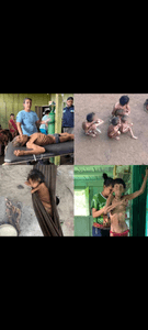 S.O.S YANOMAMI - S.O.S YANOMAMI S.O.S