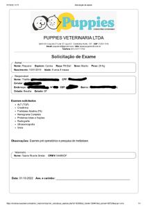 Tratamento do câncer  imagem 7