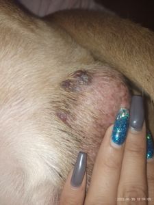 Brasília/DF - Tratamento do câncer 