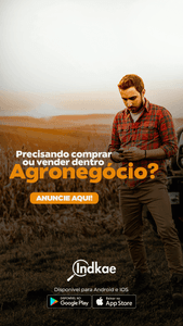 Crowdfunding - Vamos diminuir o desemprego no Brasil, Valor p/ lançar do app indkae!