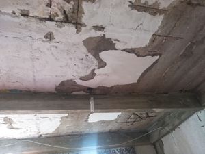 Ajude Tia Ceci a reconstruir sua vida!  imagem 8