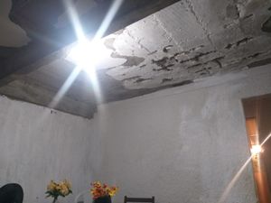 Ajude Tia Ceci a reconstruir sua vida!  imagem 6