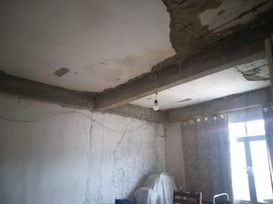 Ajude Tia Ceci a reconstruir sua vida!  imagem 7