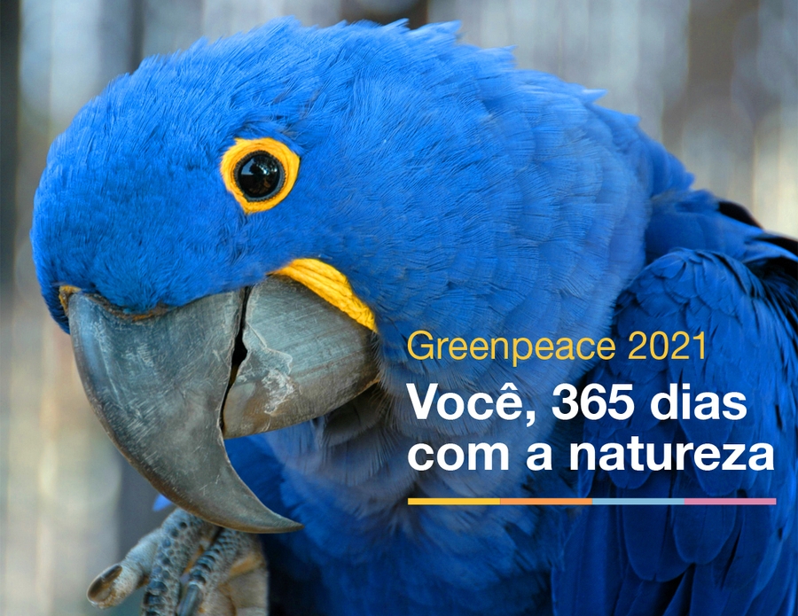 Calendário Greenpeace - 2021