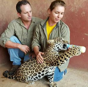 Animais - Os animais do Instituto Onça-Pintada precisam de você!