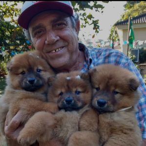 Animais - Abandono Nunca Mais! Quero ficar com você!!