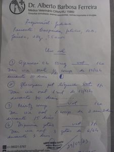 Rio de Janeiro/RJ - Ajudem a Leoparda viver!