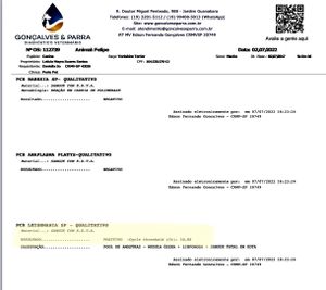 Tratamento Leishmaniose Filipe imagem 6