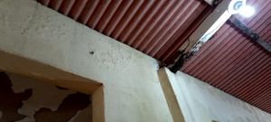 Jaboatão dos Guararapes/PE - Reconstrução do Teto da Casa das Irmãs, Vila da Medalha Milagrosa  - Socorro - Jaboatão 