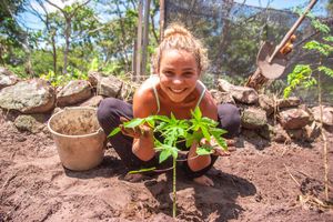 Projeto Semeando Vida - Refúgio Barro Branco - Projeto Semeando Vida - Refúgio Barro Branco 