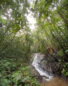 Causas e Comunidade - Festa Instituto Ixixa e Agência Cítara