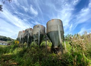 Festa Instituto Ixixa e Agência Cítara imagem 9