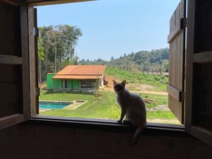 Festa Instituto Ixixa e Agência Cítara imagem 8