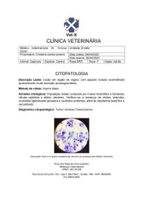 Vaquinha Online - Quimioterapia da Capivara