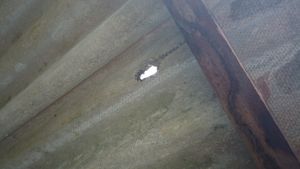 Telhadão do Posto imagem 7