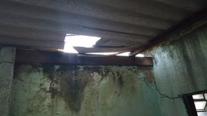 PANCS - Telhadão do Posto