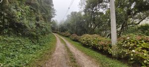 Glamping na Serra da Mantiqueira  em Santo Antônio do Pinhal - SP imagem 7