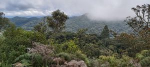 Campinas/SP - Glamping na Serra da Mantiqueira  em Santo Antônio do Pinhal - SP