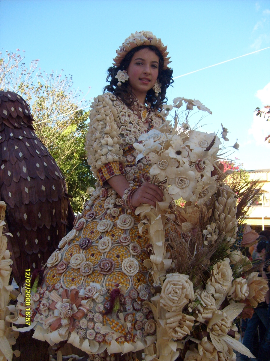 Juiz de Fora/MG - Documentário: 2008: A Festa das nove princesas